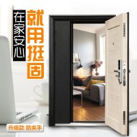 挺固甲级防盗门 子母门 别墅进户门入户门 智能指纹锁 家用安全门 密码门 隔音门 宝格丽系列机械锁860*2050mm