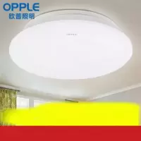 吸顶灯 LED15W