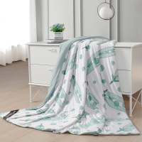 金丝莉(kintheri) 蚕宝睡被 夏天凉被 H