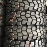 朝阳轮胎(CHAOYANG) 12.5R20 轮胎