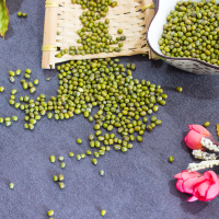 华祺腾达(HQTD)绿豆HQ-700031