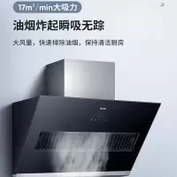 海尔抽油烟机 CXW-219-T1911