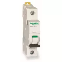 施耐德 Schneider Electric 小型断路器iC65N 1P D40A(包装数量 1个)