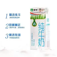 蒙牛纯牛奶 250ml*24盒/箱 整箱装