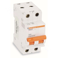 施耐德 Schneider Electric EA9AN2D25 小型断路器,EA9AN2D25(包装数量 1个)