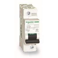 施耐德 Schneider Electric 小型断路器C120H 1P C100A(包装数量 1个)