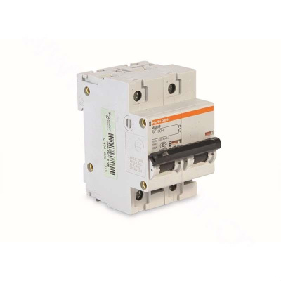 施耐德 Schneider Electric 小型断路器,NG125H D 16A 2P(包装数量 1个)