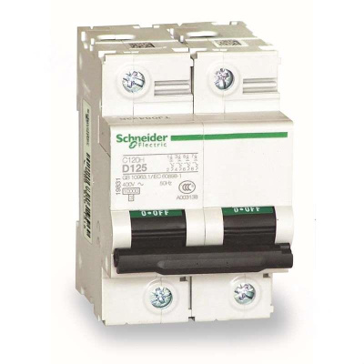 施耐德 Schneider Electric 小型断路器C120H 2P C125A(包装数量 1个)