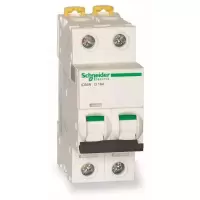 施耐德 Schneider Electric 小型断路器iC65N 2P D63A(包装数量 1个)