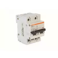 施耐德 Schneider Electric 小型断路器,NG125H D 50A 2P(包装数量 1个)