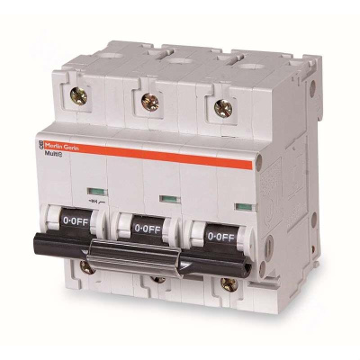 施耐德 Schneider Electric 小型断路器,NG125H D 16A 3P(包装数量 1个)