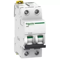 施耐德 Schneider Electric 小型断路器iC65L 2P 20A D(包装数量 1个)