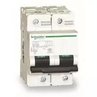 施耐德 Schneider Electric 小型断路器C120L 2P C100A(包装数量 1个)