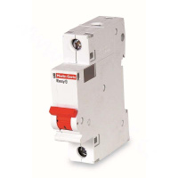 施耐德 Schneider Electric EA9AN1C6 EA9AN 小型断路器 1P C6A