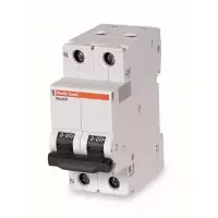 施耐德 Schneider Electric DPNK2 63A 带中性线分断小型断路器,DPNK2 63A