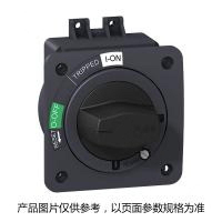 施耐德 Schneider Electric NSC断路器附件NSC100ROTDS 直接旋转手柄(包装数量 1个)
