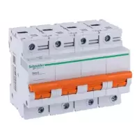 施耐德 Schneider Electric EA9AH小型断路器（分断能力10KA）EA9AH4C80NEW
