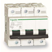 施耐德 Schneider Electric 小型断路器C120L 3P C80A(包装数量 1个)