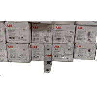 ABB S202-B6(DE)(10096059) S200微型断路器(进口)S202-B6(DE)(10096059)