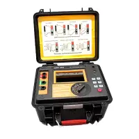胜利仪器(VICTOR)VC9600 高压绝缘电阻测试仪 兆欧表 电阻测试器(单位:台)