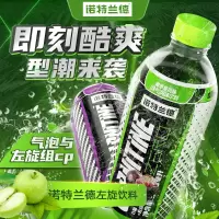 Nutrend诺特兰德 左旋气泡饮料350ml*24瓶*2箱 左旋肉碱官方正品运动左旋10万液体饮料健身