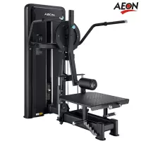 [健芬欣]AEON正伦CS-813辅助式引体向上训练器CS-816腰部旋转训练器CS-817髋部训练器 专业健身房配置