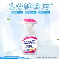 蓝月亮 衣领净 500g/瓶(瓶)