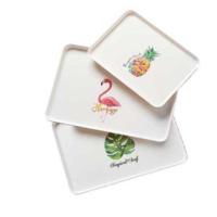 茶盘 仙人掌大号 38x27x2.2CM