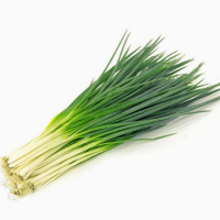 四季小香葱