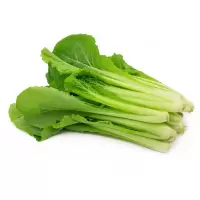 新鲜 小白菜
