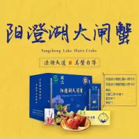 统牌 朕品 中秋大闸蟹礼盒 3088型 4.5两公蟹*6只 3两母蟹*6只 中秋佳品生鲜鲜活水产 单盒价