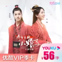[收货手机号为充值账号 请谨慎填写]优酷vip会员3个月视频会员影视会员youku季卡 填手机号 自动充值