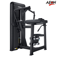 正伦(AEON)CS-809三头肌伸展训练器 肌肉力量综合训练器 商业健身房配置健身器材 0元送装