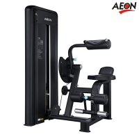 正伦(AEON)CS-815腹部前屈训练器 商用肌肉力量综合训练 专业健身房配置健身器材 0元送装