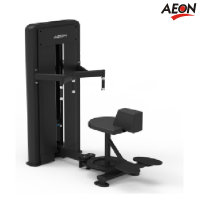 正伦(AEON)CS-816腰部旋转训练器 商用肌肉力量综合训练 专业健身房配置健身器材 0元送装