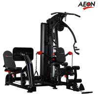 正伦(AEON)CL-602二方位多功能综合训练器 双人站力量器械 专业健身房配置健身器材