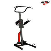 正伦(AEON)CL-607豪华多功能单双杠 引体向上力量训练 专业健身房配置运动器械