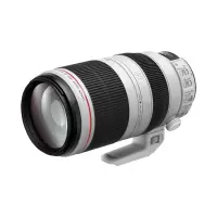 佳能(Canon) EF 100-400mm f/4.5-5.6L IS II USM 镜头