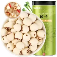 福东海 湘潭 莲子 去皮磨皮通芯湘莲子白莲子 炖汤煲汤糖水甜汤食材配料500克
