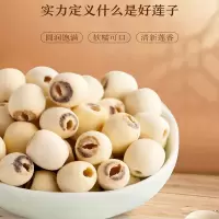 延年树 莲子500g