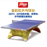 红双喜(DHS)乒乓球桌金彩虹室内乒乓球台