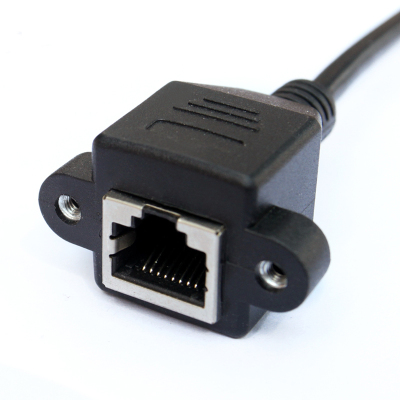 LBYZY CAWP57 CAT5超五类网线延长线 网络延长器 纯铜RJ45公对母 直头 黑色0.2米