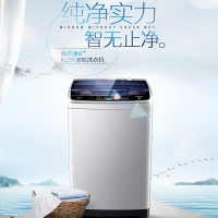 Haier/海尔 EB80M39TH 8公斤大容量 波轮 全自动家用洗衣机