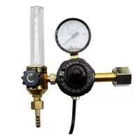波斯BS475585加热二氧化碳减压器36v