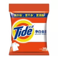 汰渍 TIDE 净白去渍 洗衣粉 260G