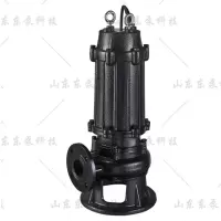 东泵科技 WQ 潜水泵 耐高温 大流量 无堵塞 污水泵