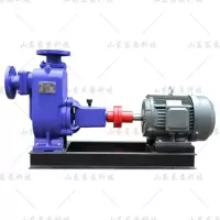 东泵科技 无堵塞自吸泵 自吸污水泵 ZW自吸泵