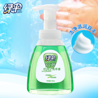 绿伞抗菌洗手液(泡沫型-芦荟精华)300g*1瓶.GS