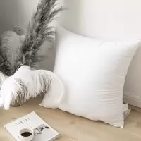 羽丝绒靠枕