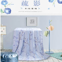 水星家纺MERCURY DH疏影夏被 116433(ZC)